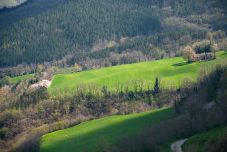 lawns and trees in spring in Apennines in Italyの写真素材