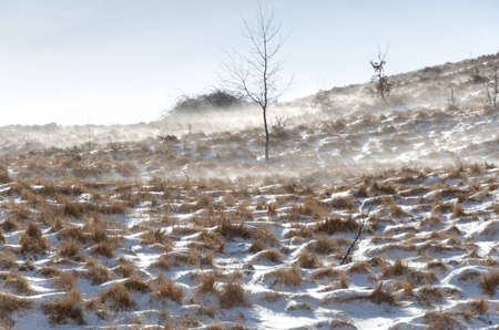 mountain with snow blown by the wind in Genoa in winterの写真素材