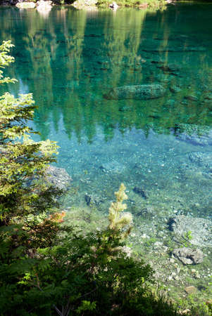 reflections on Carezza Lake  in Trentino Alto Adige in Italyの写真素材