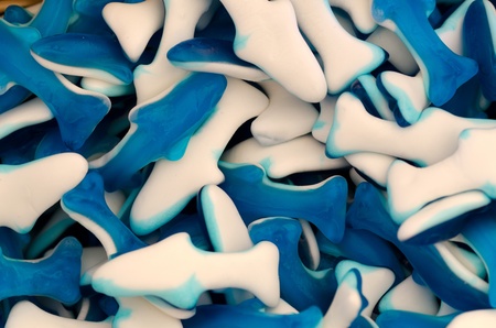 white and blue candies in the shape of sharkの写真素材