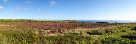 Overview with flowers to Lands End in Cornwallの写真素材