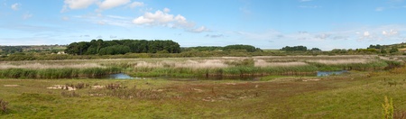 overview of a swamp in Marazion in Cornwallの写真素材