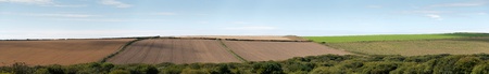 Agriculture in the fields of Port isaac in cornwallの写真素材