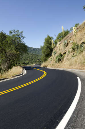 road with curves in Sequoia National Park in California in the United States of Americaの写真素材