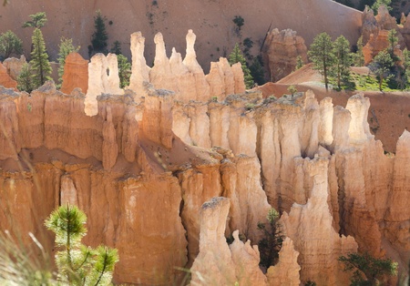 sunrise in Bryce Canyon National Park in Utah in the United States of Americaの写真素材
