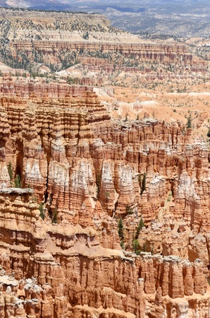 Bryce Canyon National Park in Utah in the United States of Americaの写真素材