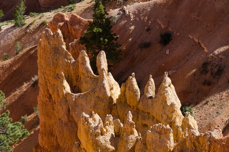 Bryce Canyon in Utah in the United States of Americaの写真素材