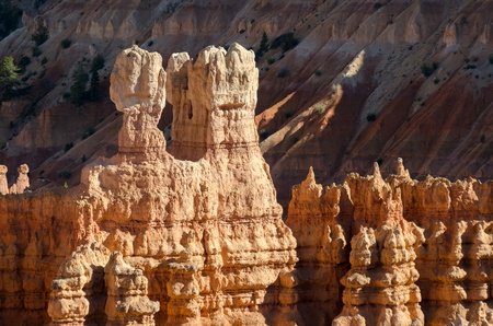 Bryce Canyon in Utah in the United States of Americaの写真素材