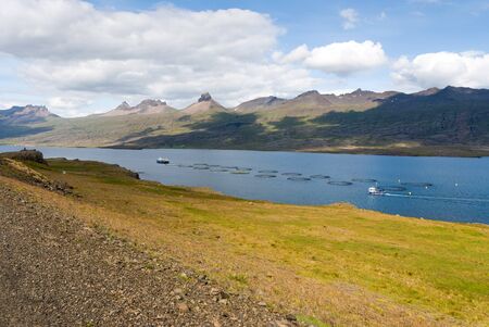 breeding of fish in the fjord in Iceland askrusfjordurの写真素材