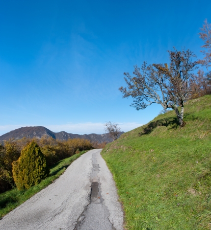 overview of a road in the countryside of Liguriaの写真素材