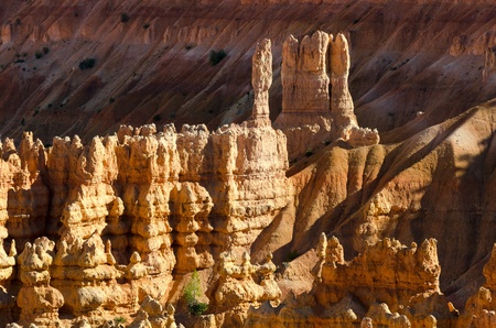 Bryce Canyon National Park in Utah in the United States of Americaの写真素材