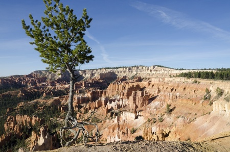 Bryce Canyon National Park in Utah in the United States of Americaの写真素材