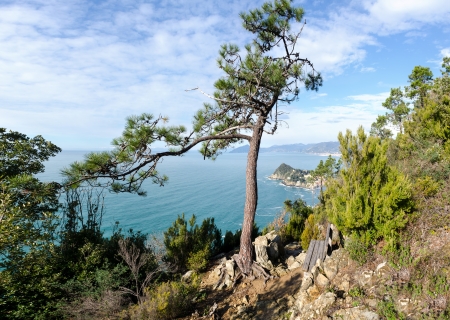 overview of the promontory of Sestri Levante in Liguriaの写真素材