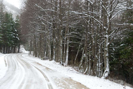 road with snow on the Apennines in Emilia Predappioの写真素材