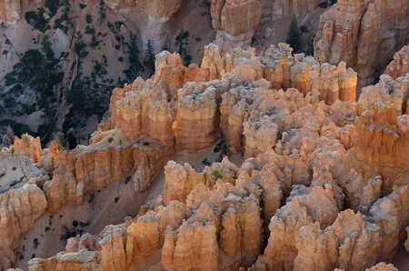 sunrise in Bryce Canyon National Park in Utahの写真素材