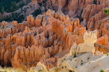 Bryce Canyon National Park in Utah in the United States of Americaの写真素材