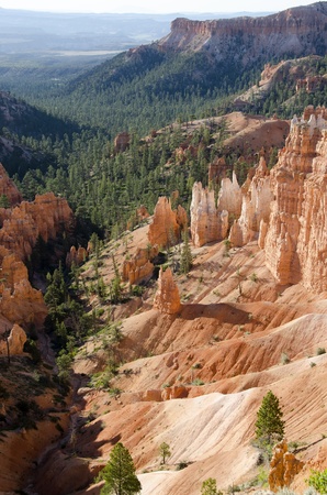 Bryce Canyon National Park in Utah in the United States of Americaの写真素材