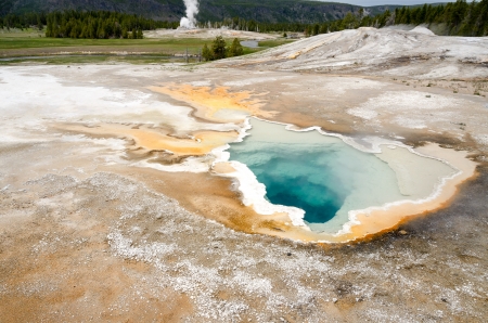 geyser in Yellowstone の写真素材