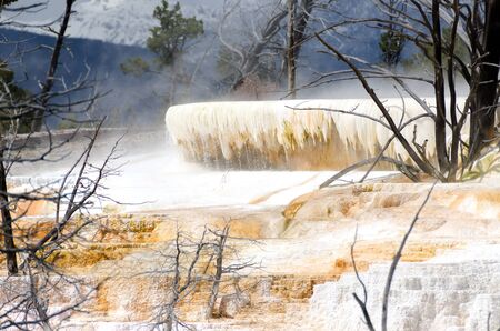 Mammoth Hot Springs in Yellowstone National Park in Wyoming in the United States of Americaの写真素材