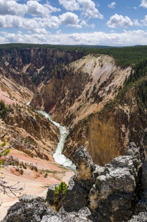 Canyon of the Yellowstone Falls in Yellowstone National Park in Wyomingの写真素材