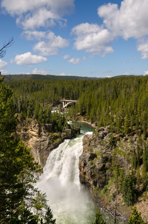 Yellowstone Falls in Yellowstone National Park in Wyomingの写真素材