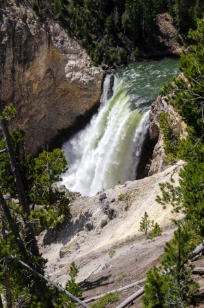 Yellowstone Falls in Yellowstone National Park in Wyomingの写真素材