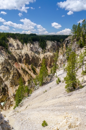 canyon on the Yellowstone River in Yellowstone National Park in Wyomingの写真素材