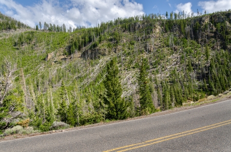 road in Yellowstone National Park in Wyomingの写真素材