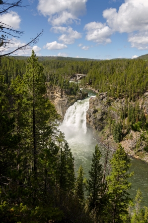 Yellowstone Falls in Yellowstone National Park in Wyomingの写真素材