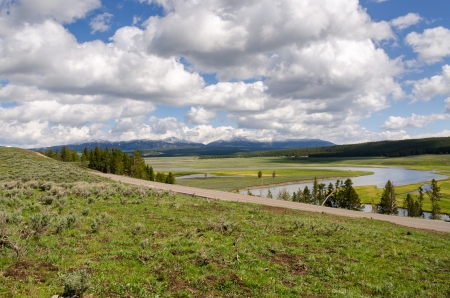 grasslands in Yellowstone National Park in Wyomingの写真素材