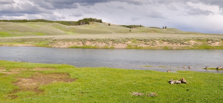 overview of a river in Yellowstone National Park in Wyomingの写真素材