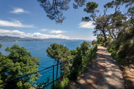 pedestrian street on the sea in Portofinoの写真素材