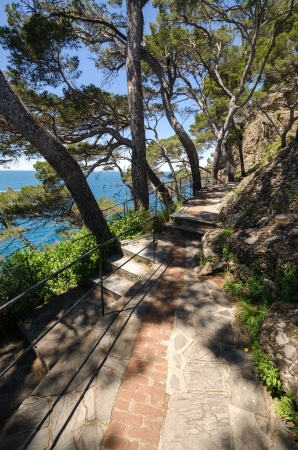 pedestrian street on the sea in Portofinoの写真素材