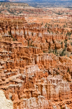 Bryce Canyon National Park in Utahの写真素材