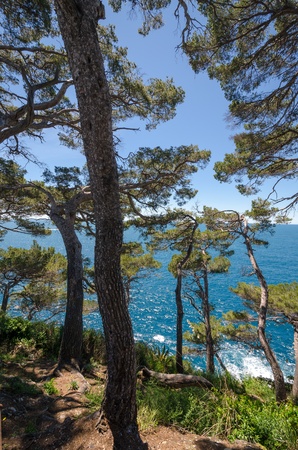 stretch of coast to Portofino in Italyの写真素材