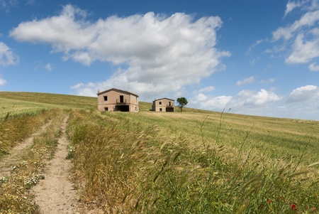 meadows in the hills of Salerno in Italyの写真素材