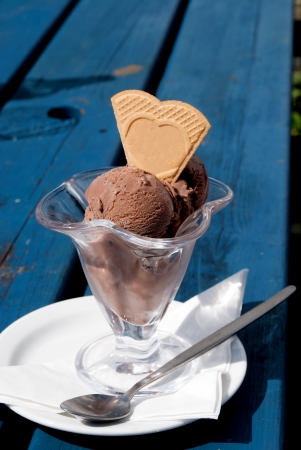 bowl of ice cream with chocolate cookie in Port Isaac in Cornwallの写真素材