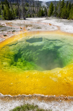 geyser in Yellowstone National Park in Wyomingの写真素材