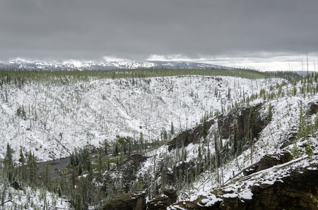 snow in summer in Yellowstone National Park in Wyomingの写真素材