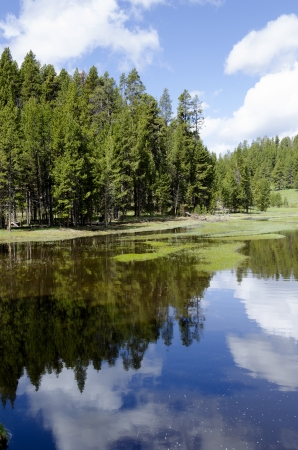 Lake in Yellowstone National Park in Wyomingの写真素材