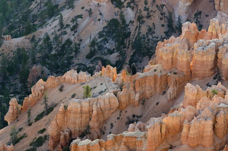 Bryce Canyon National Park in Utah in the United States of Americaの写真素材