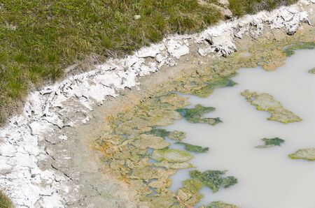 landscape and Geyser in Yellowstone National Park