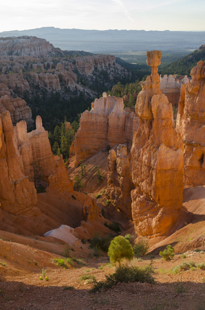 Bryce Canyon National Park in Utahの写真素材