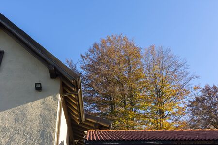 colors of autumn in the Apennines between Liguria and Piedmont