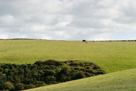 overview in Port Isaac in Cornwallの写真素材