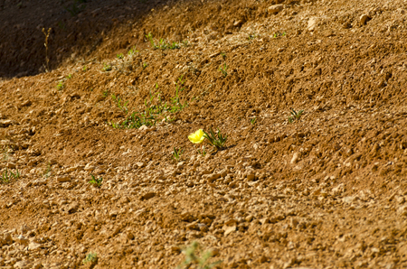 Bryce Canyonの写真素材