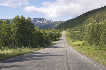 road and bridge in the Lofoten in Norwayの写真素材