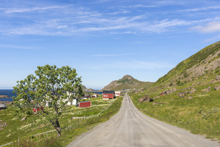 road to Niksund to the Lofoten islands in Norwayの写真素材