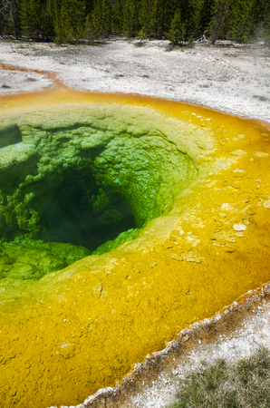 Geyser in Yellowstone National Park in Wyomingの写真素材