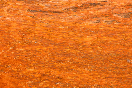 grand prismatic spring in Yellowstone National Park in Wyomingの写真素材